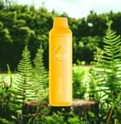 MYLE Meta Bar – Mega Melon