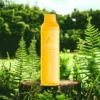 MYLE Meta Bar Mega Melon disposable vape with 2500 puffs and 50mg nicotine strength, juicy melon flavor
