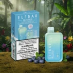 ELFBAR Blue Berry Mint BC 10000 Puffs