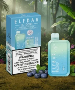 ELFBAR Blue Berry Mint BC 10000 Puffs