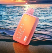 ELFBAR Cherry Watermelon BC 10000 Puffs 50mg