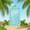 ELFBAR Miami Mint BC 10000 Puffs 50mg 3 ELFBAR Miami Mint BC 10000 Puffs 50mg