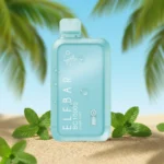 ELFBAR Miami Mint BC 10000 Puffs 50mg