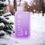 elfbar-grape-ice-bc-10000-puffs-50mg.jpg