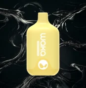 Waka Smash Mango Melon Aloe 5500 Puffs 1.8% nicotine
