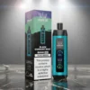 Black Currant Mint Al Fakhar Vape 8000 Puffs Disposable Vape Dubai