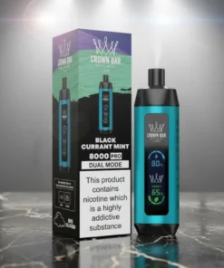 Black Currant Mint Al Fakhar Vape 8000 Puffs Disposable Vape Dubai