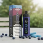 Blueberry Gum Al Fakhar Vape 8000 Puffs Disposable Vape Dubai
