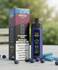 Blueberry Gum Al Fakhar Vape 8000 Puffs Disposable Vape Dubai