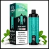 Gum Mint Al Fakher Crown Bar 12000 Puffs Disposable Vape
