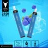 VUDU Filter - Blue Raspberry Disposable Pod Device (2500 Puffs) 2 WhatsApp Image 2023 03 05 at 5.43.07 PM